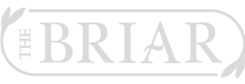 The Briar Logo in Footer
